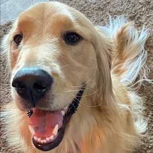 Meet your Posher, Mark